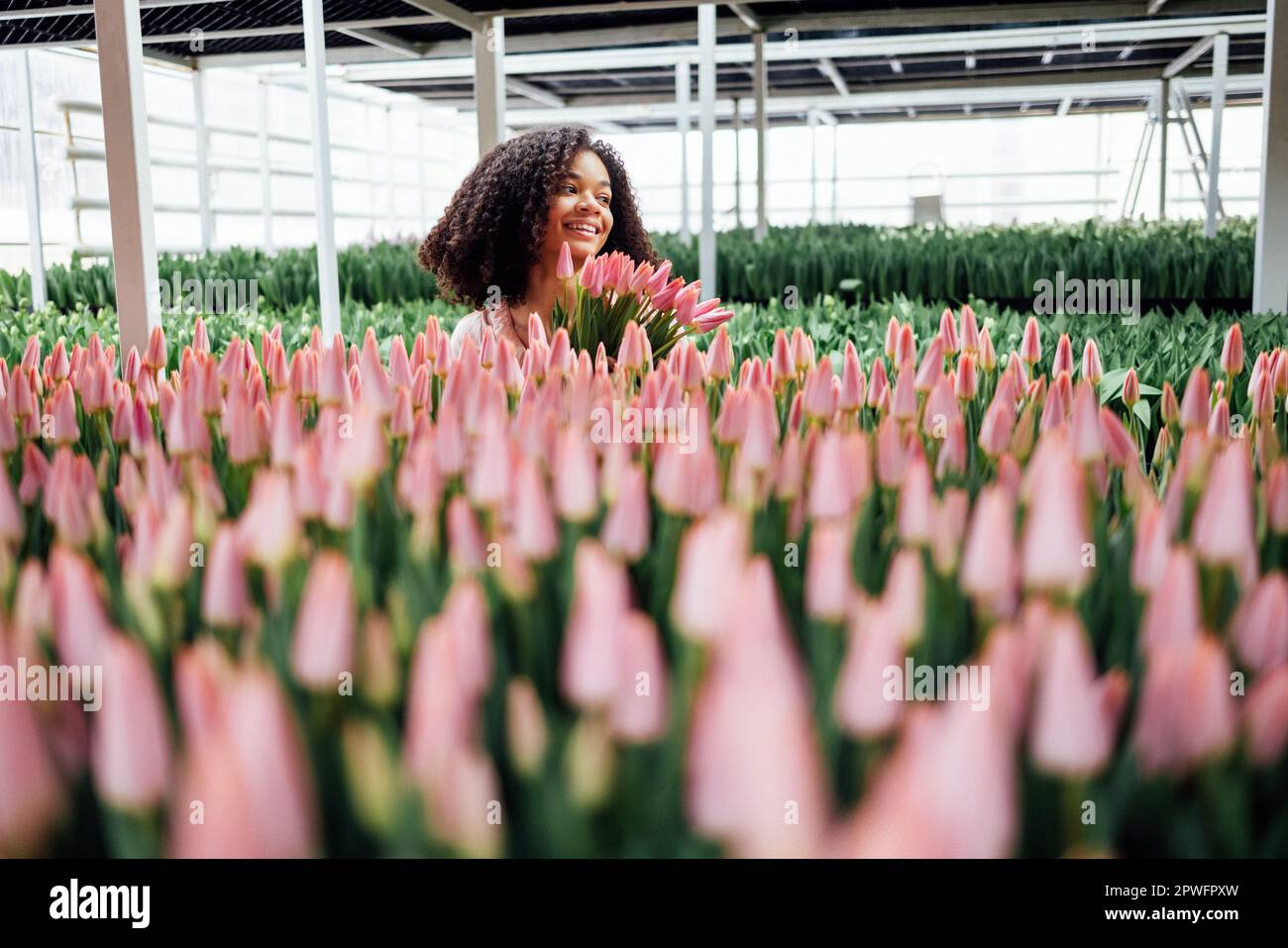Bella ragazza romantica sorridente etnia africana con bouquet di tulipani rosa in serra. Foto Stock