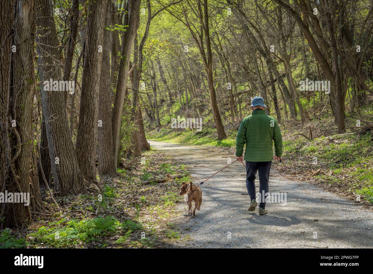 Uomo anziano che cammina con un cane in una foresta - Steamboat Trace Trail vicino Perù, Nebraska Foto Stock