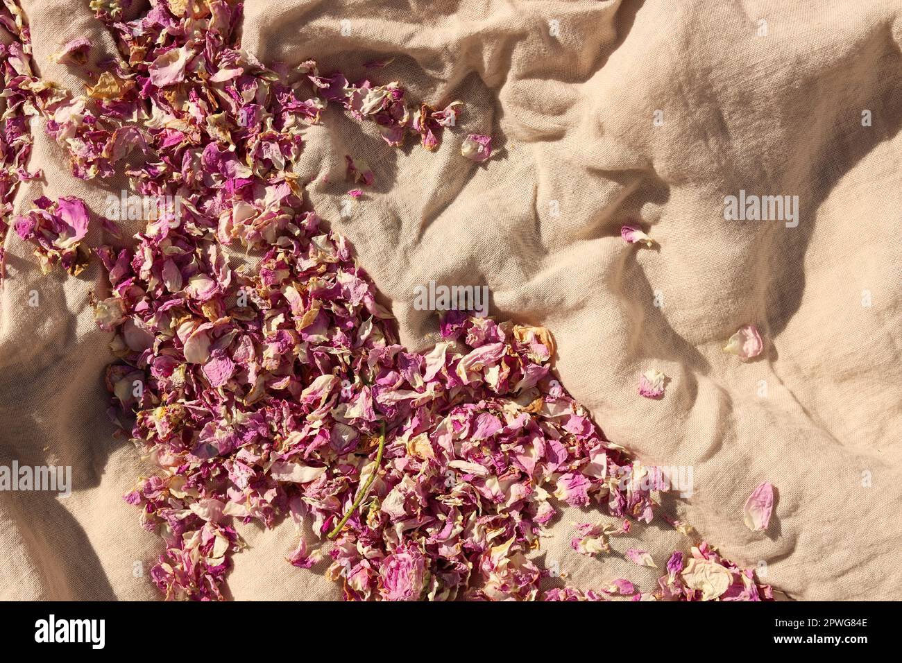 Immagini Stock - Una Vista Dall'alto Di Petali Di Rosa Essiccati