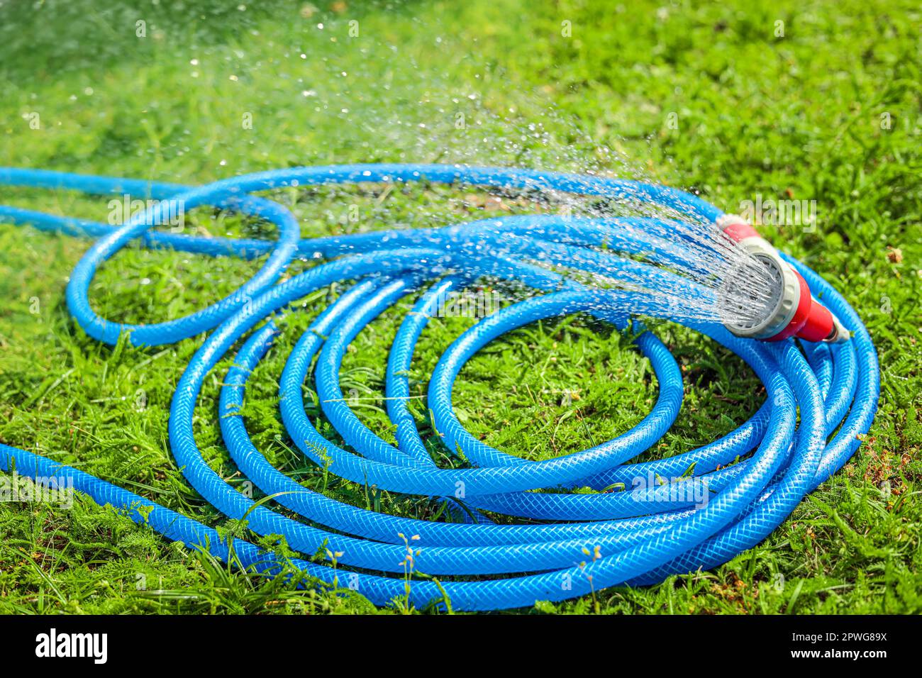 Spruzzi d'acqua dal tubo sull'erba verde all'aperto Foto Stock