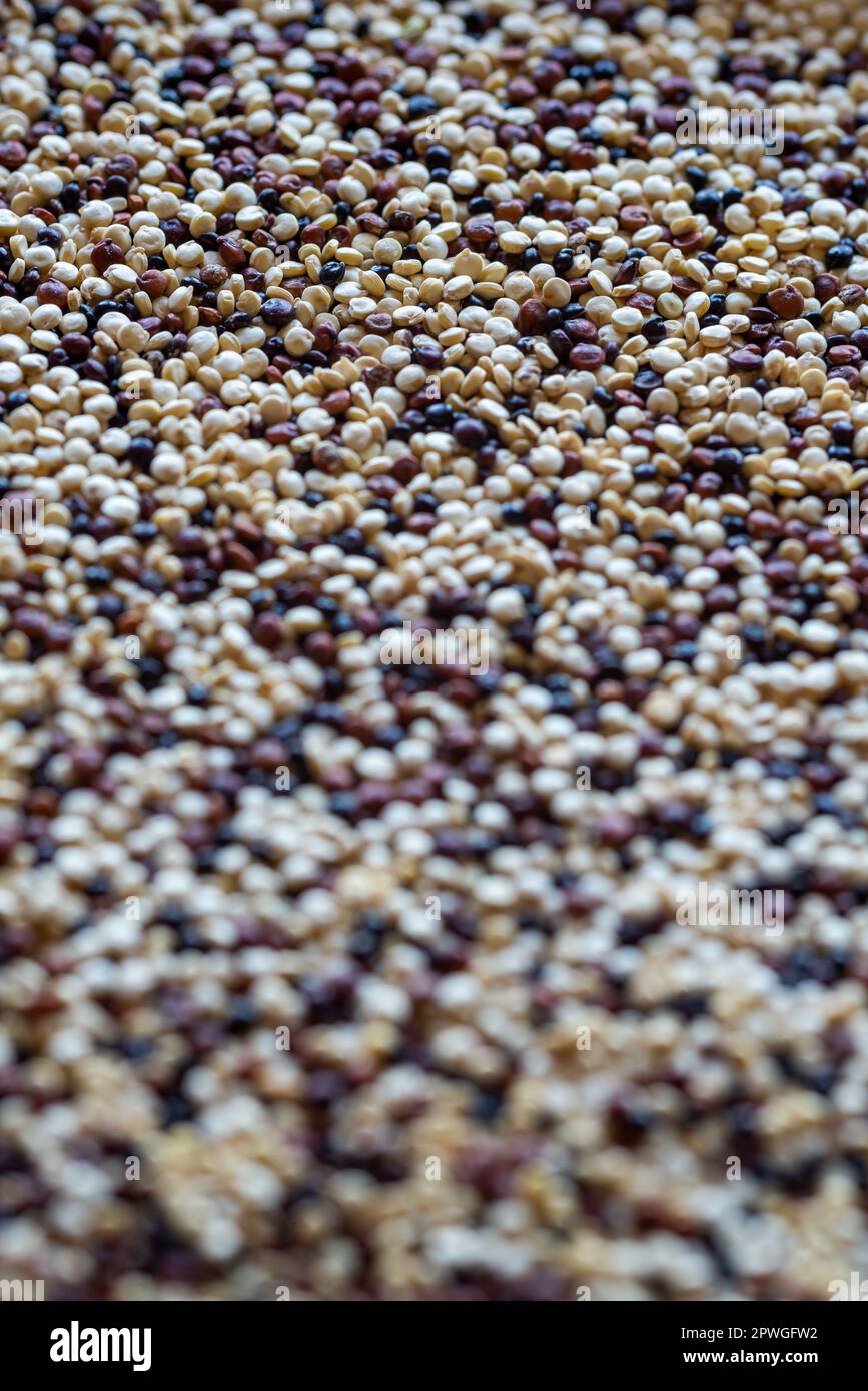 primo piano di semi di quinoa bianchi, rossi e neri Foto Stock