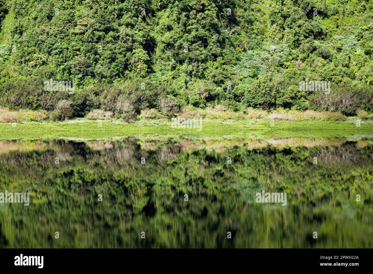 Riflesso del bastione nell'acqua di Grand Étang, il lago più grande dell'isola di Reunion. Foto Stock