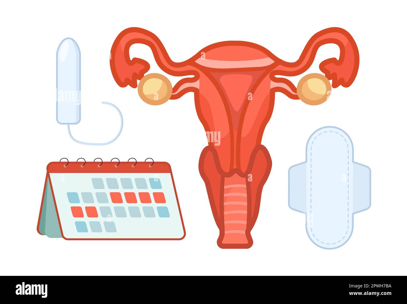 Set di illustrazioni vettoriali degli elementi utero e periodo Illustrazione Vettoriale