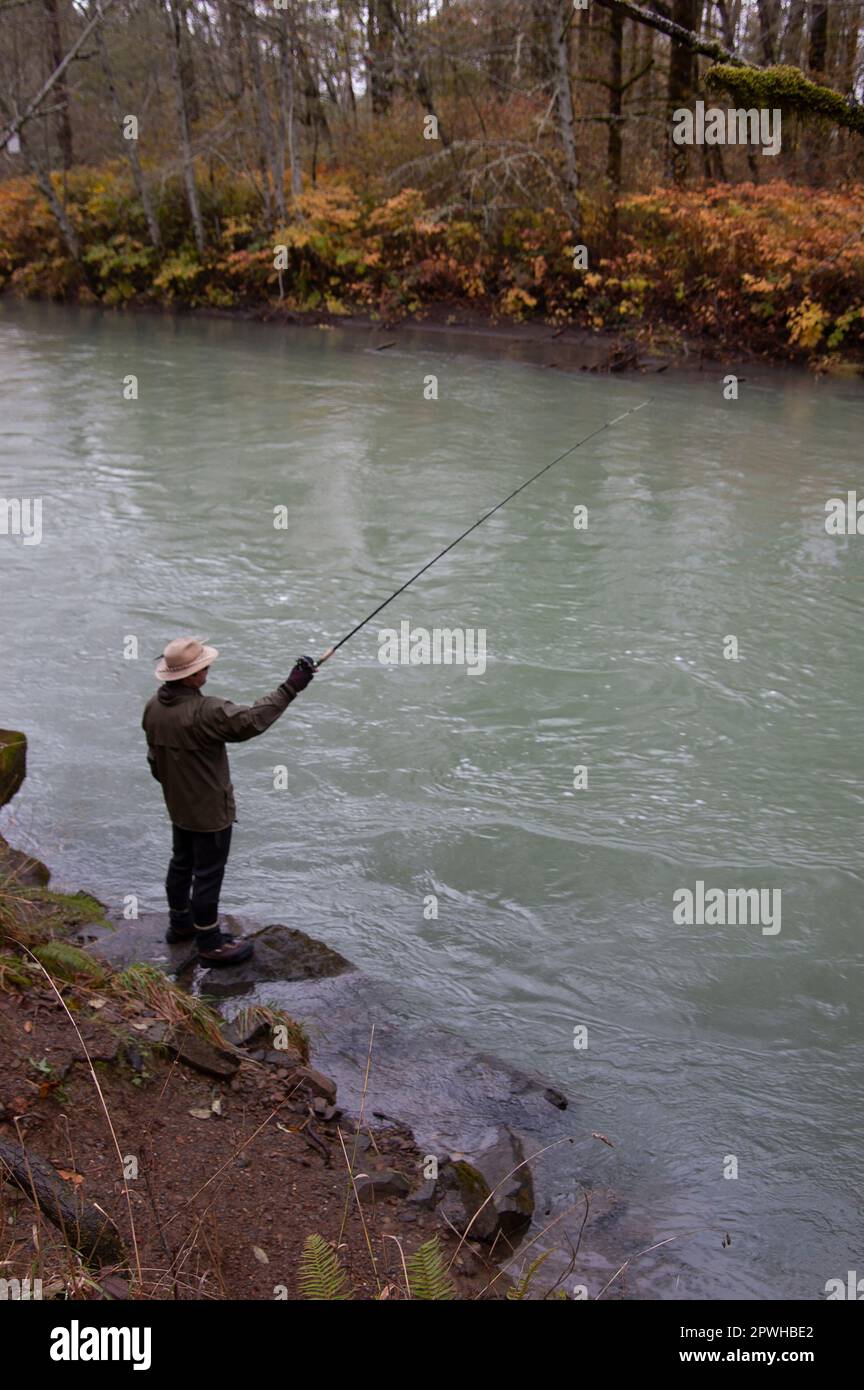 Un pescatore di salmone che si affola per il salmone Coho sul fiume Skokomish nello stato di Washington Foto Stock