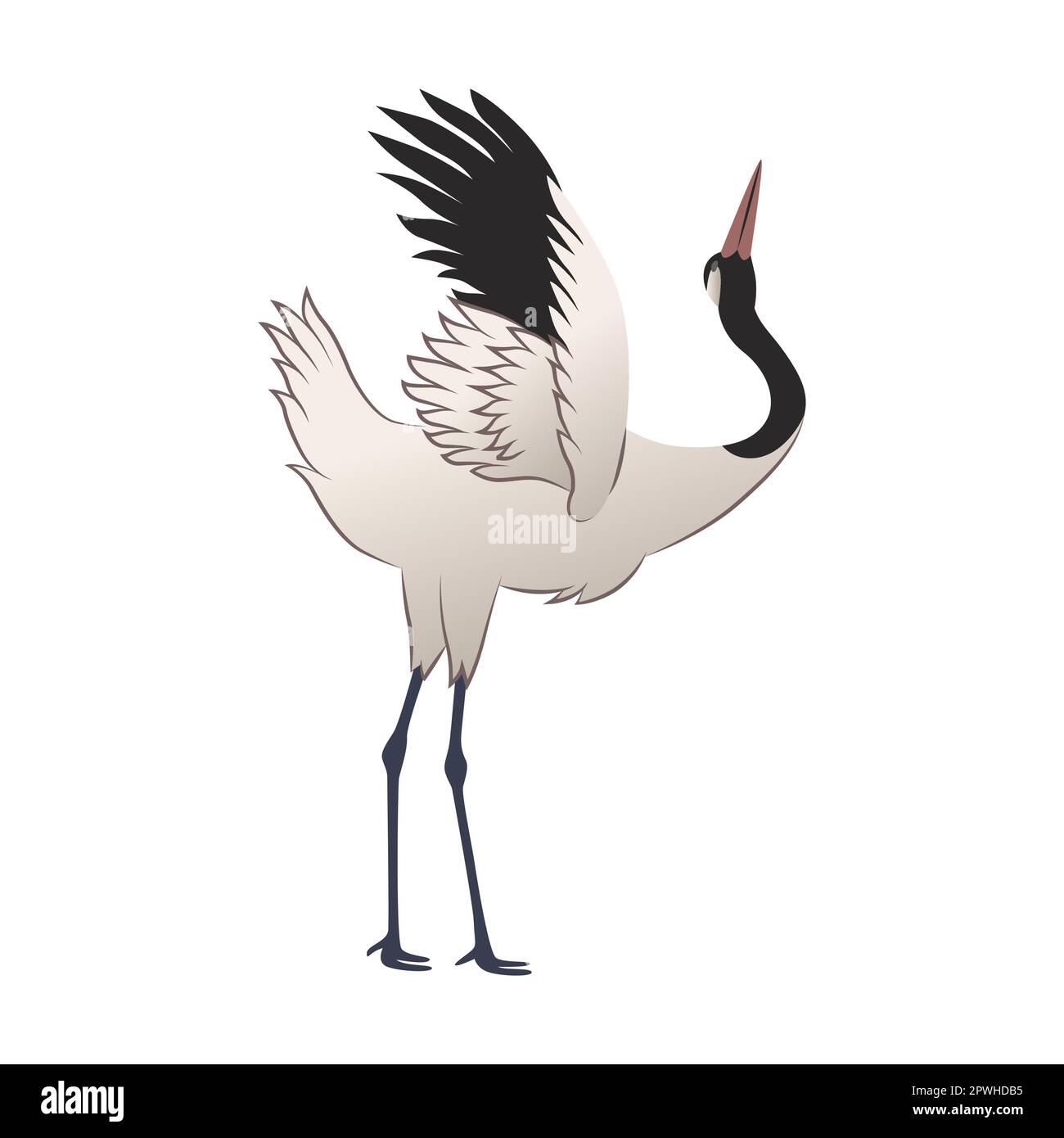 Illustrazione di un uccello della gru. Airone rosso coronato che sfalda le ali. Cicogna o uccello giapponese isolato su sfondo bianco Illustrazione Vettoriale