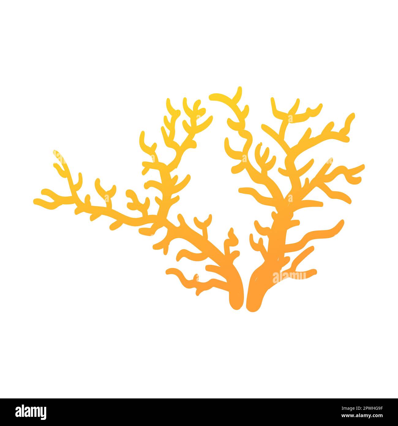 Illustrazione vettoriale piatta cartoon alghe. Bella creatura mitica con animali subacquei isolati su bianco Illustrazione Vettoriale