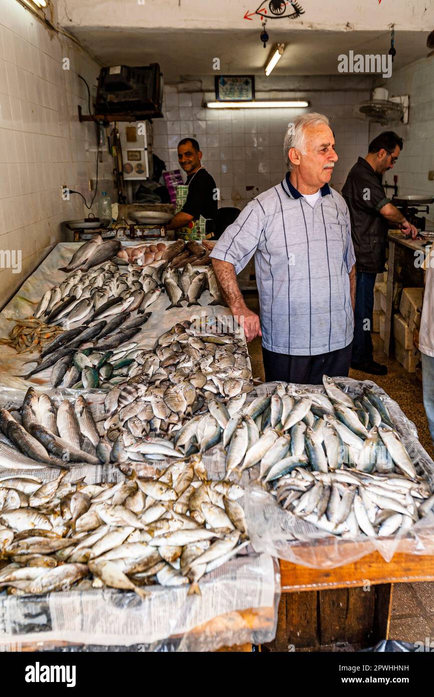 Negozio di pesce locale al piccolo mercato nell'antica area dell'isola di Tiro, punta della penisola, Mar mediterraneo, Tiro (Sour, sur), Libano, medio Oriente, Asia Foto Stock