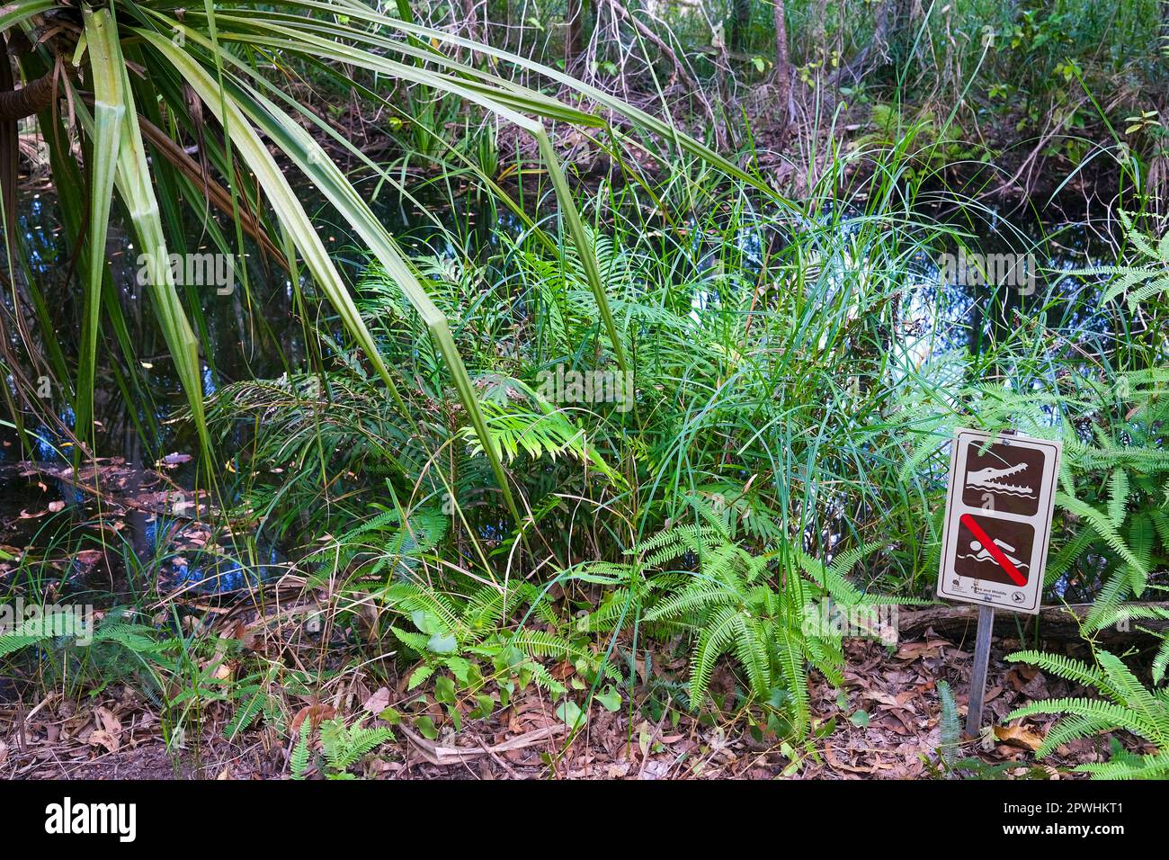 Un segno di no nuoto pericolo coccodrillo, vicino a un corso d'acqua, nel Parco Nazionale di Litchfield, Northern Territory of Australia Foto Stock
