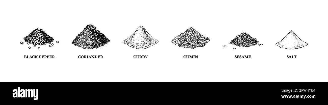 Mucchi di spezie. Piselli al pepe nero, semi di sesamo, semi di papavero, semi di cumino. Set di spezie. Condimento naturale e ingrediente di cottura. Linea vettoriale art Illustrazione Vettoriale
