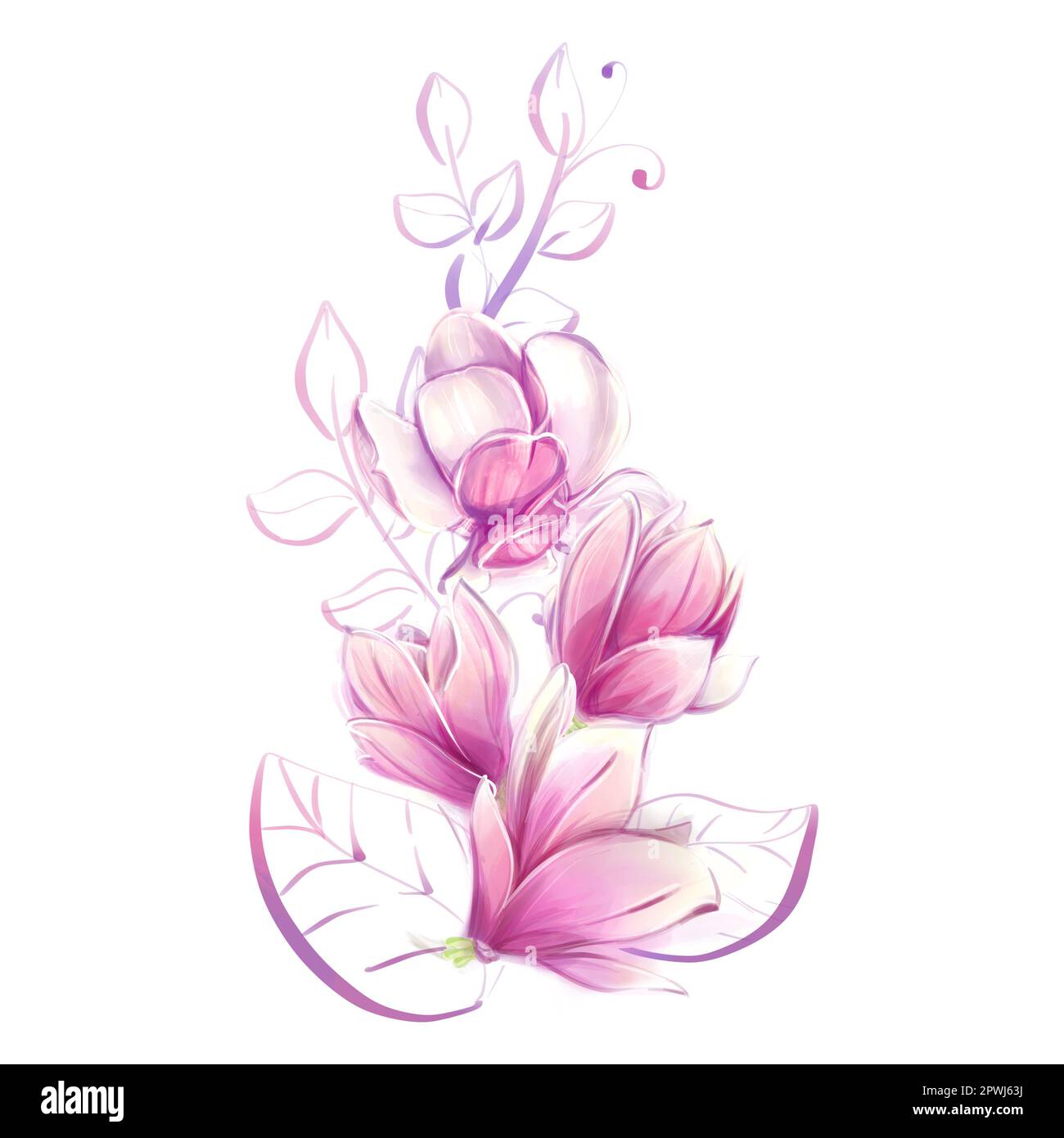 Acquerello Magnolia. Clip primavera, elemento di design in stile romantico. Clipart per il design nello stile di Parigi, Francia. Foto Stock