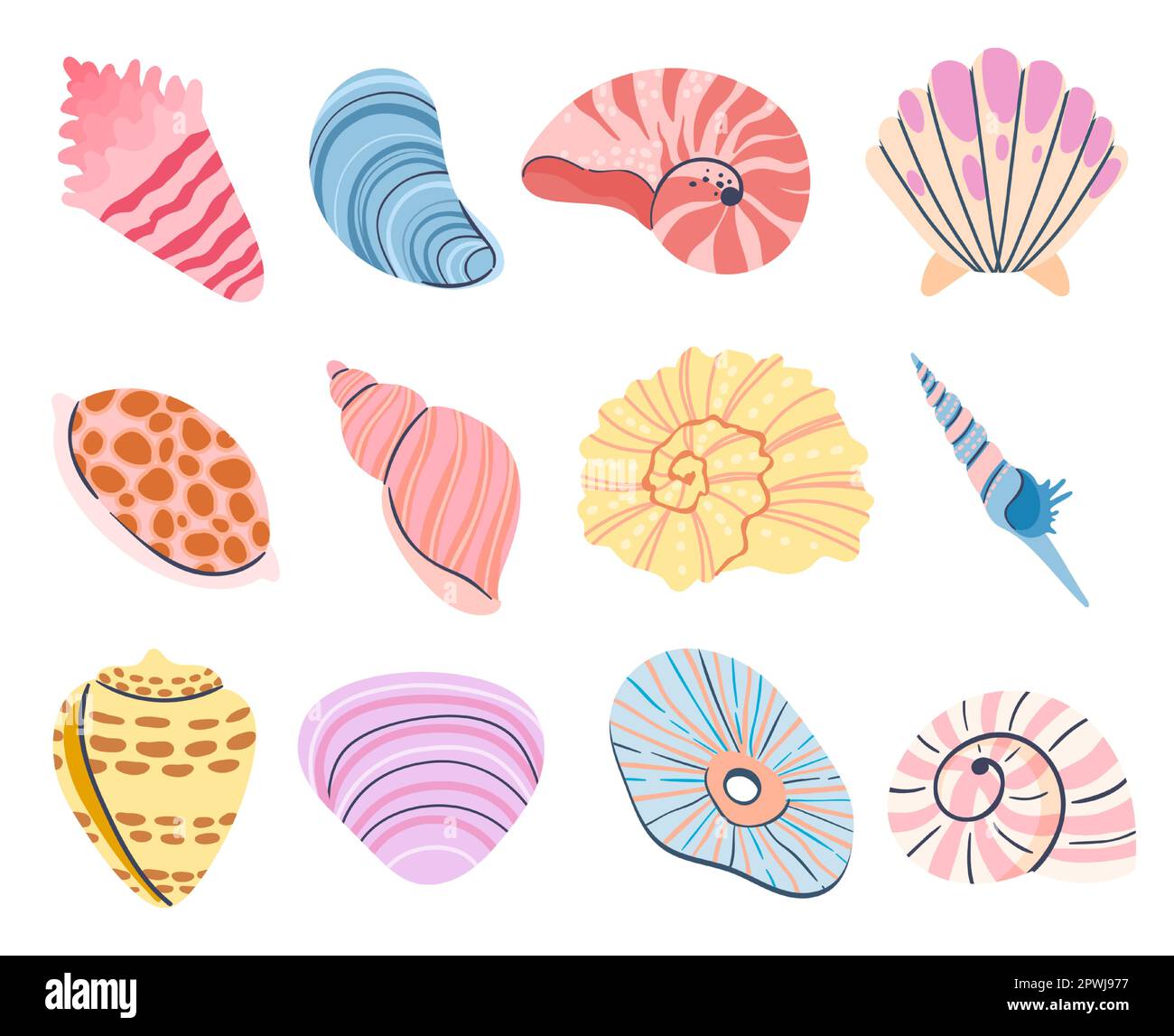 Conchiglia tropicale. Vongole, ostriche e conchiglie di capesante. Vettore di illustrazione subacquea di mare di Seashell Illustrazione Vettoriale