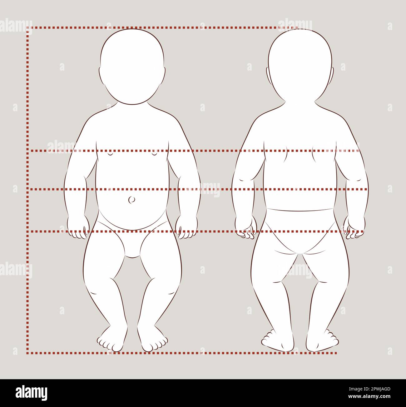 Figura di un bambino. Anteriore e posteriore. Illustrazione Vettoriale