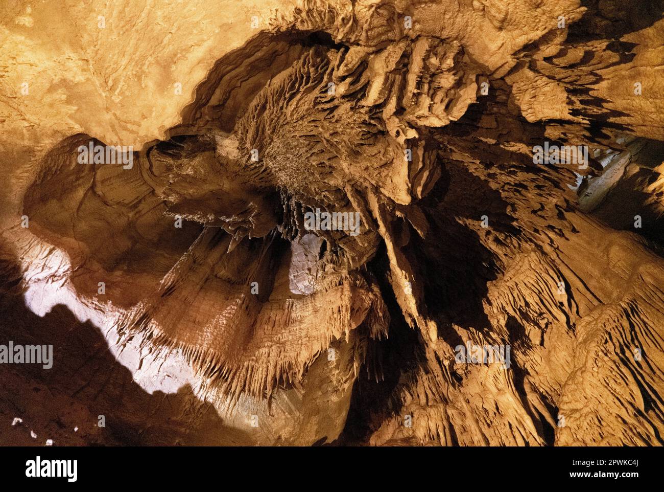 Il Parco nazionale di Mammoth Cave in Kentucky Foto Stock