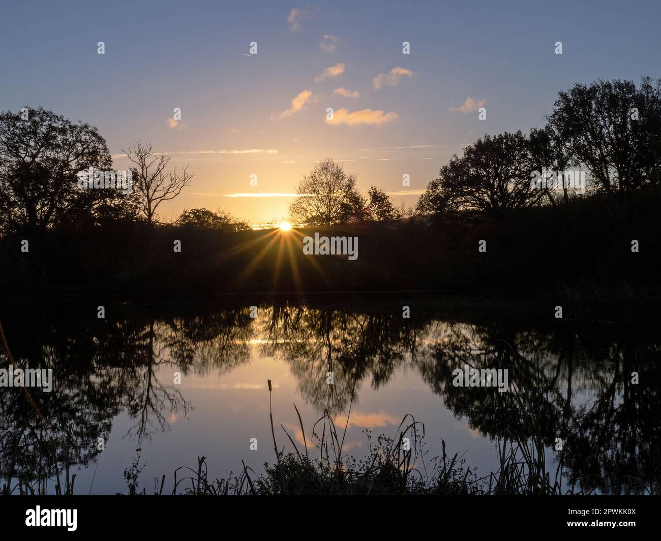 Alba autunnale su Marsh Pond a Heyshott, West Sussex, con riflessi e silhouette. Foto Stock