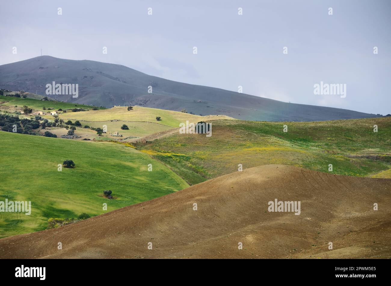 Campi e campagna ondulata della Sicilia, Italia Foto Stock