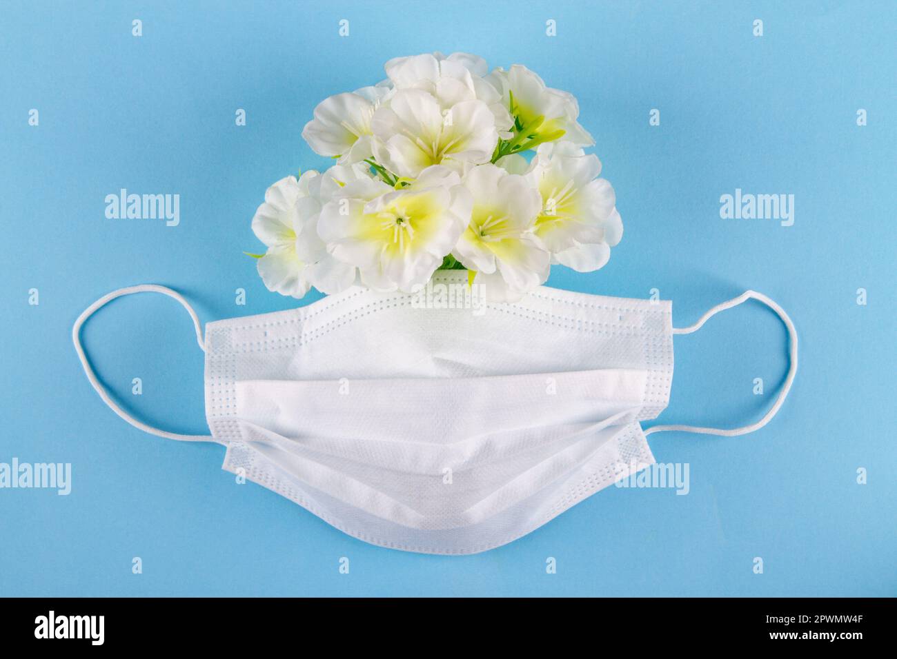 Maschera chirurgica bianca e fiori bianchi su sfondo blu. Concetto di allergia respiratoria Foto Stock