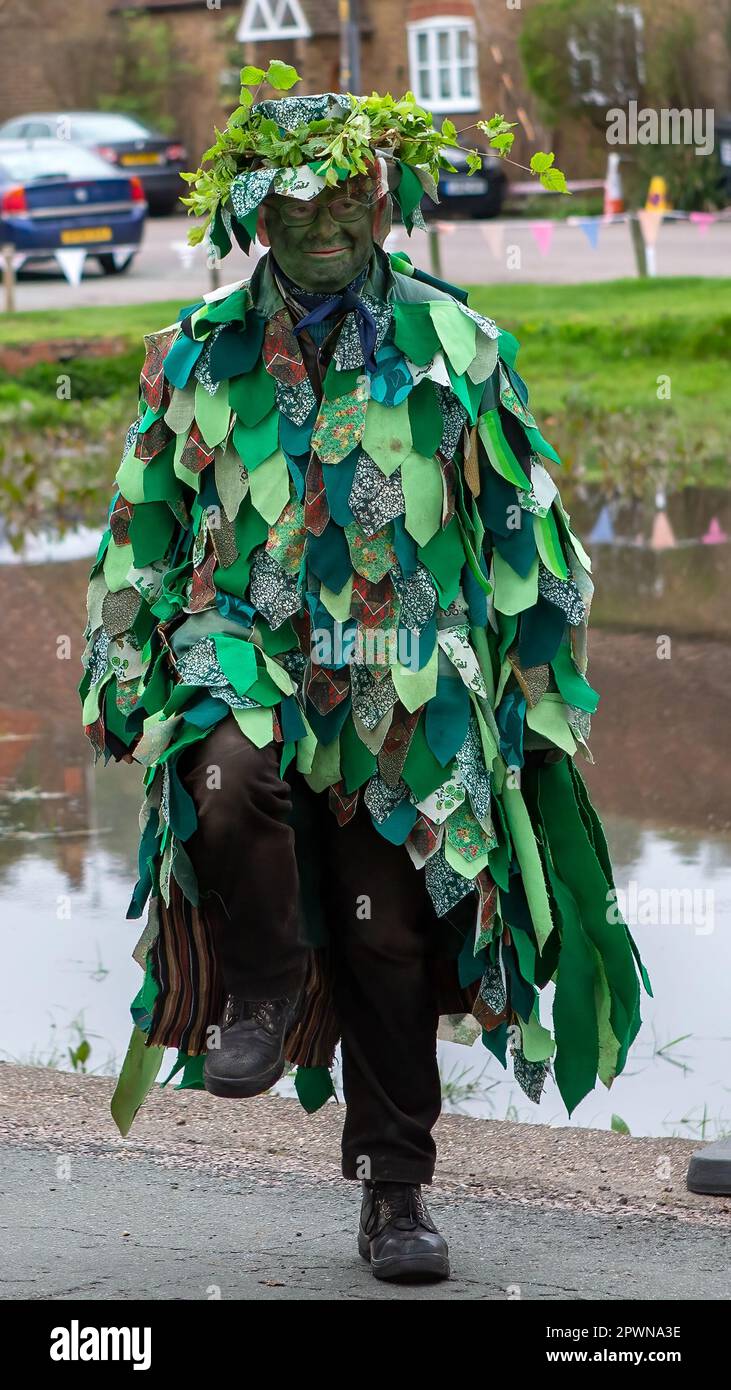 Aldbury Village, Regno Unito 1st maggio 2023. L'uomo verde, una figura tradizionale in Morris Dancing sei mai stato in un pub chiamato l'uomo verde? Si tratta di un uomo verde, l'uomo verde risale all'epoca medievale ed è stato "la figura centrale nelle celebrazioni del giorno di maggio in tutta l'Europa centrale e settentrionale". Come l'uomo verde è anche raffigurato con ghiande e foglie di biancospino è stato considerato un simbolo di fertilità e rinascita, che rappresenta il ciclo di nuova crescita che si verifica ogni primavera. Sue Thatcher/Alamy Live News Foto Stock