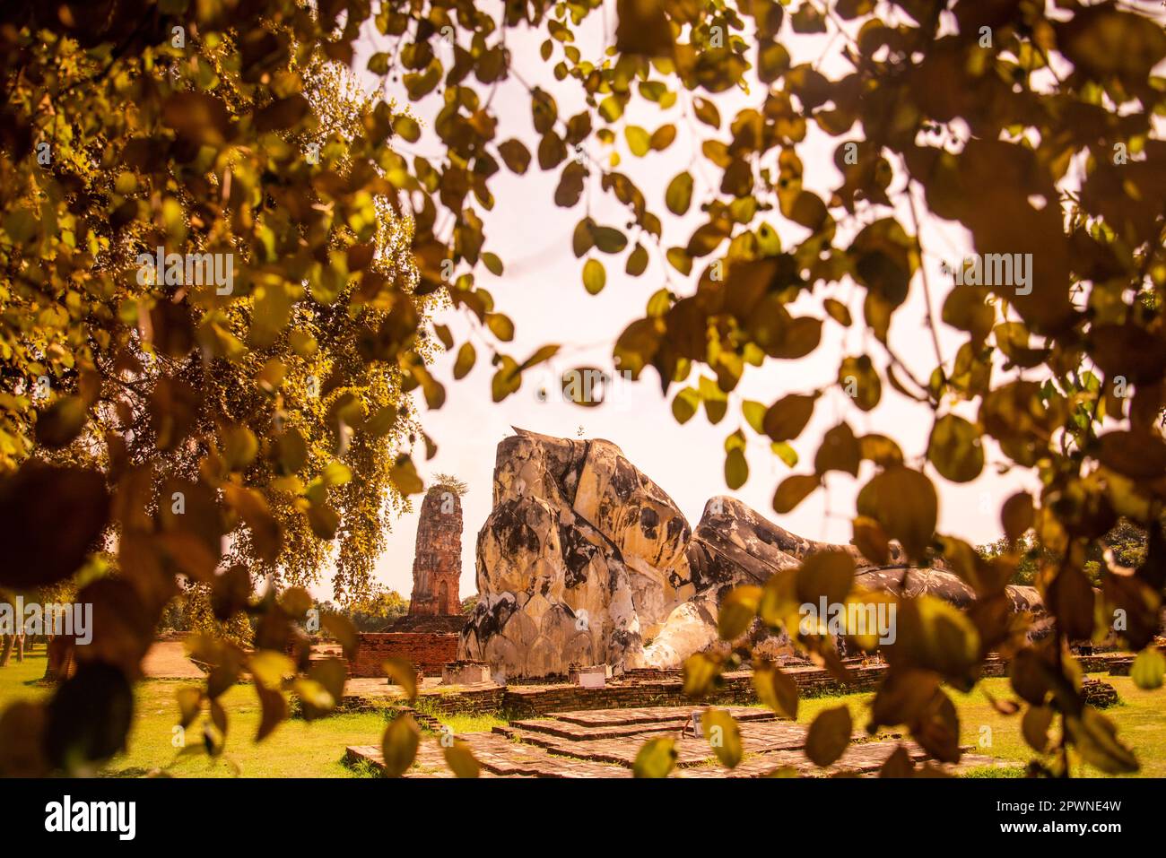 Il buddha sdraiato al Wat Lokayasutharam nella città Ayutthaya nella provincia di Ayutthaya in Thailandia, Thailandia, Ayutthaya, novembre 2022 Foto Stock