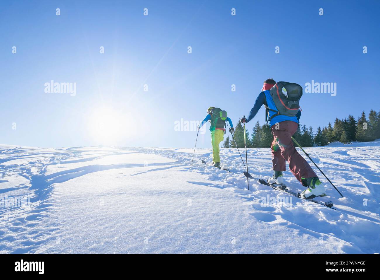 Vista posteriore degli sciatori che camminano verso la montagna Foto Stock