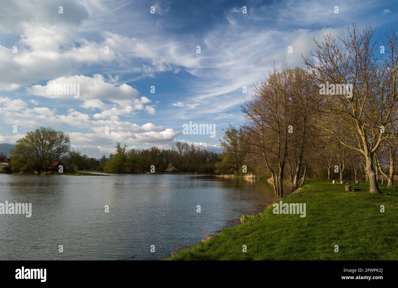 Paesaggio primaverile, insenatura del lago con un bel cielo blu e un gruppo di nuvole bianche. Luce di posizione prima del tramonto. Banca con alberi. Bodovka, Slovacchia Foto Stock