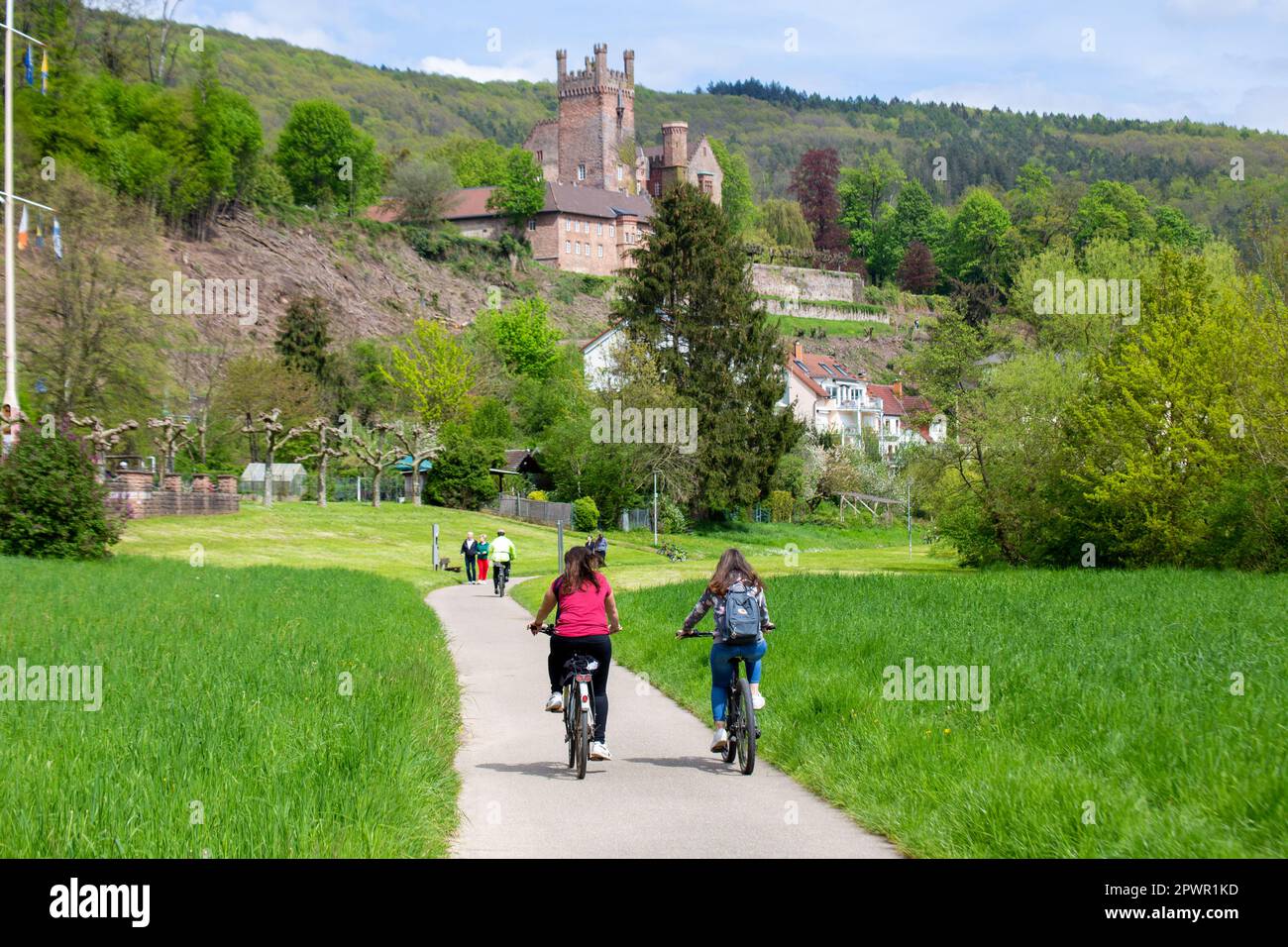 Neckartal-Odenwald Parco Naturale: Ciclisti sulla pista ciclabile Neckar a Neckarsteinach. Sullo sfondo si può vedere il Mittelburg Foto Stock