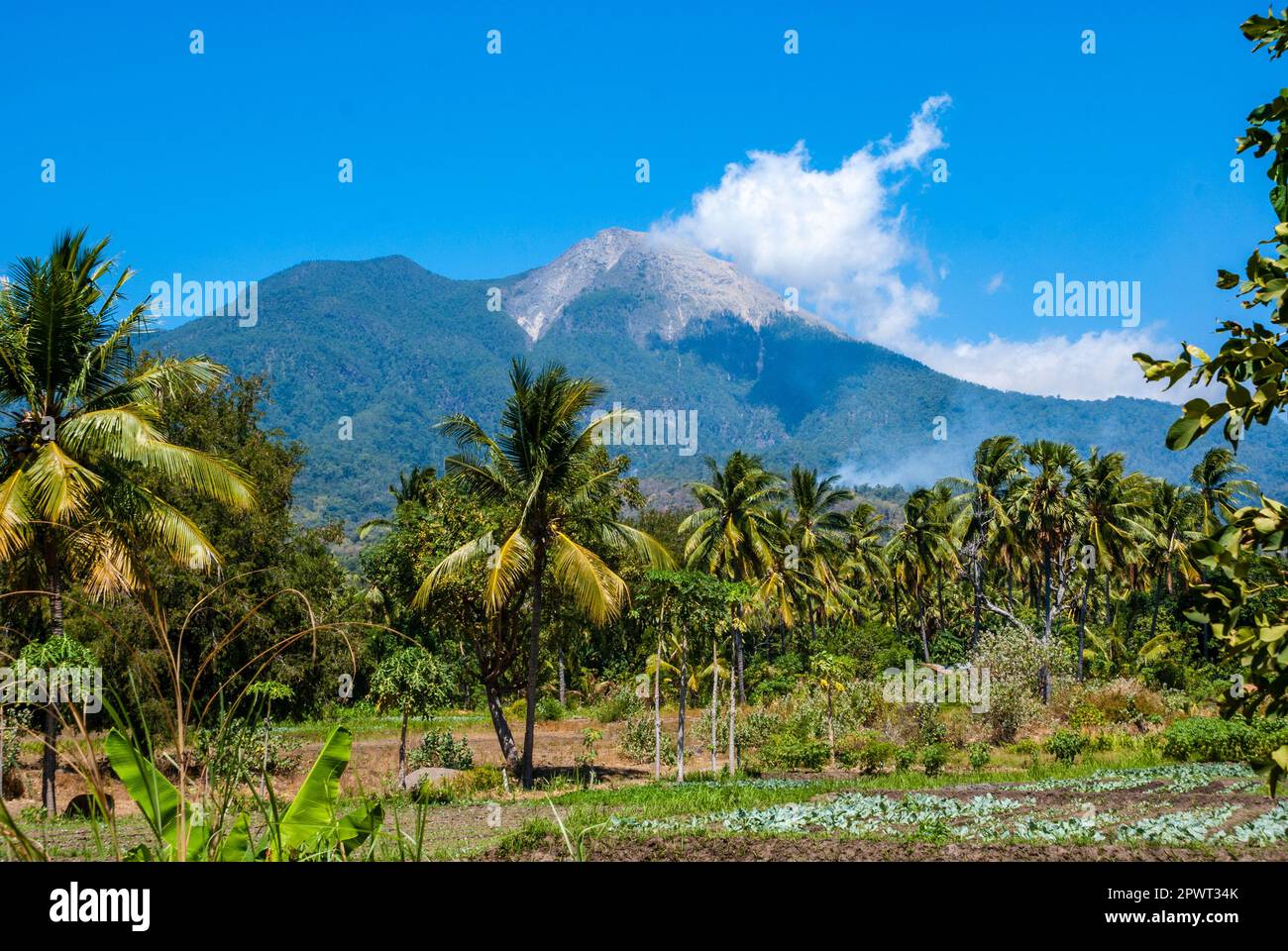 Vulcano attivo vicino a Watumita, Flores, Indonesia, Asia Foto Stock