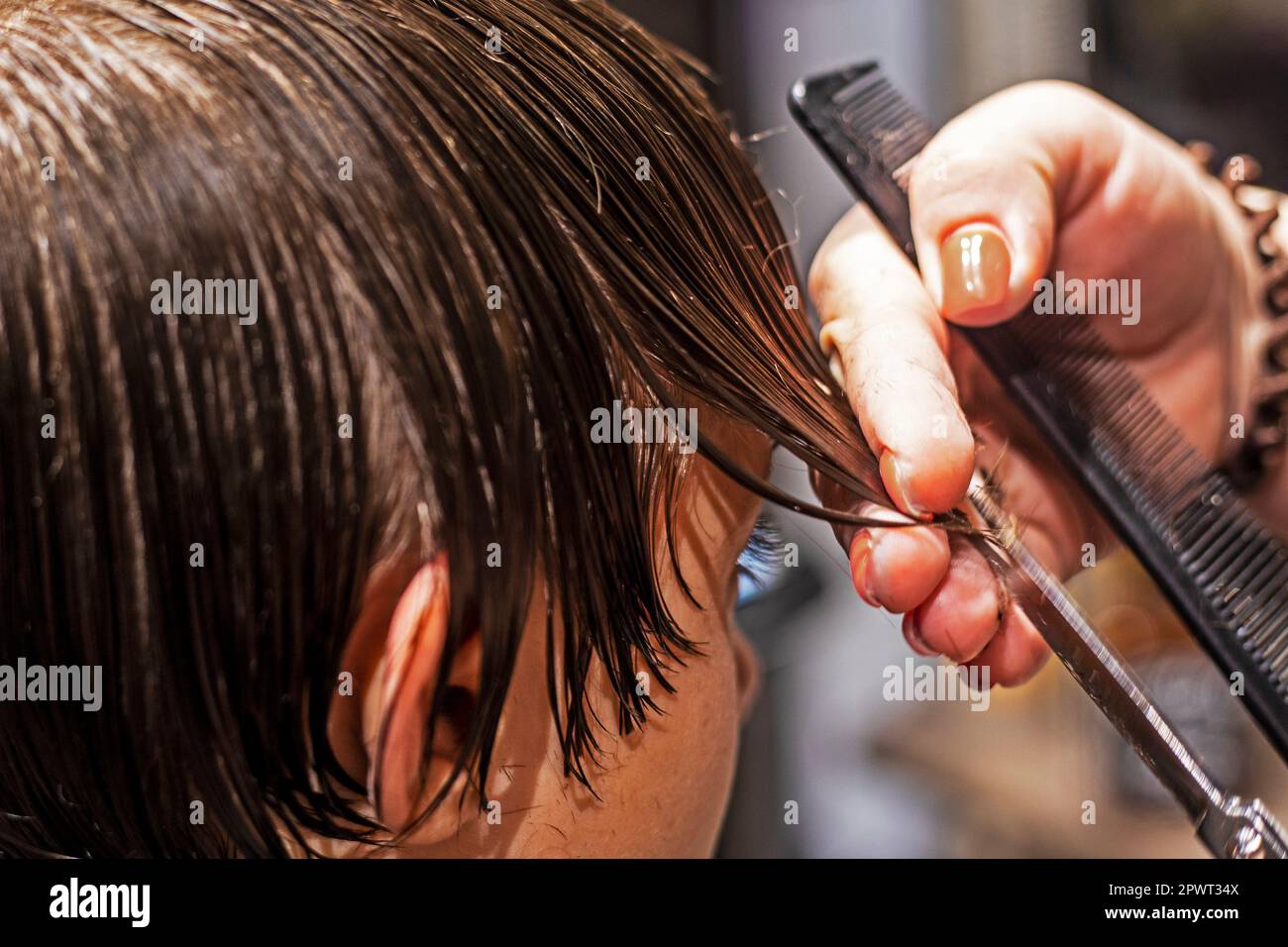 il barbiere taglia sotto il coltello le punte dei capelli puliti bagnati Foto Stock