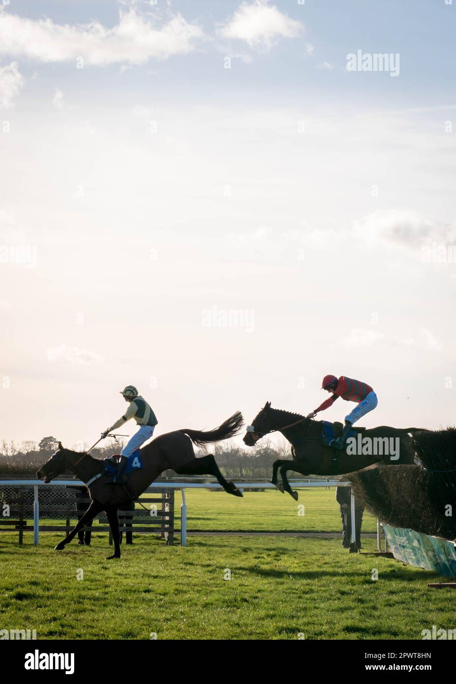 Cavalli a metà corsa all'ippodromo di Wincanton nel Somerset Foto Stock