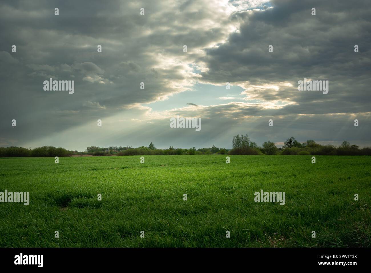 Un buco tra le nuvole e il sole che illumina un prato verde, Nowiny, Polonia Foto Stock