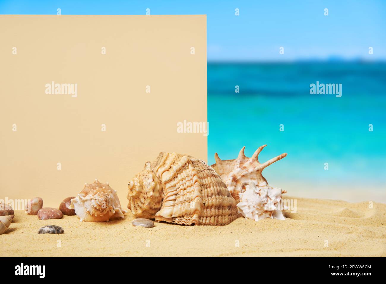 Invito o biglietto d'auguri mockup con conchiglie e stelle marine sulla spiaggia di sabbia estiva sullo sfondo dell'oceano. Concetto di vacanza, spazio copia Foto Stock
