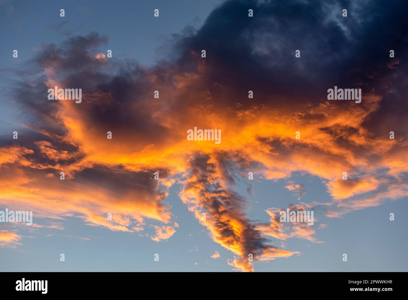 Vista dal basso di una nuvola di cumuli termicamente disonorata al crepuscolo, illuminata dal basso dalla luce del sole della sera o del mattino Foto Stock