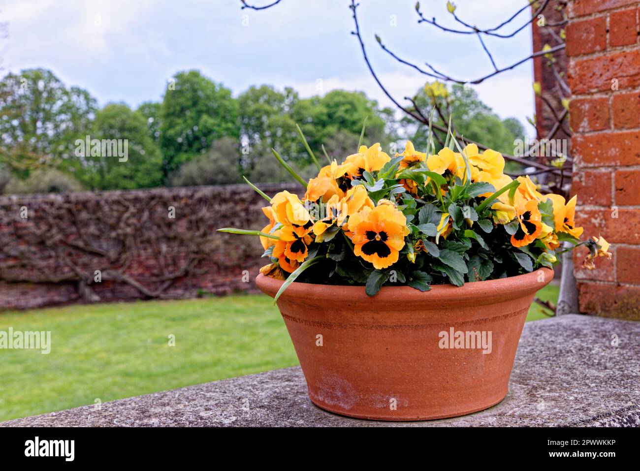 Idea decorazione giardino - bellissimo giardino inglese in primavera Foto Stock
