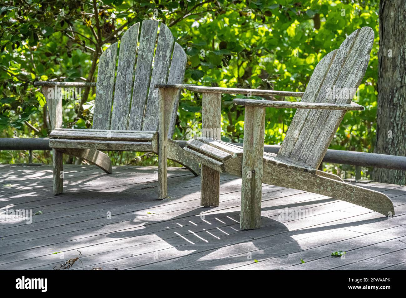 Adirondack sedie lungo un percorso tortuoso, alberato, a piedi presso l'Atlanta Botanical Garden a Gainesville, Georgia. (USA) Foto Stock