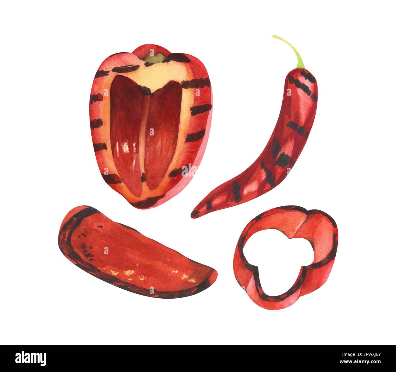 Acquerello con paprika fresca grigliata al peperoncino rosso. Illustrazione disegnata a mano isolata su sfondo bianco. Perfetto per menu caffè, ristorante, ricette Foto Stock