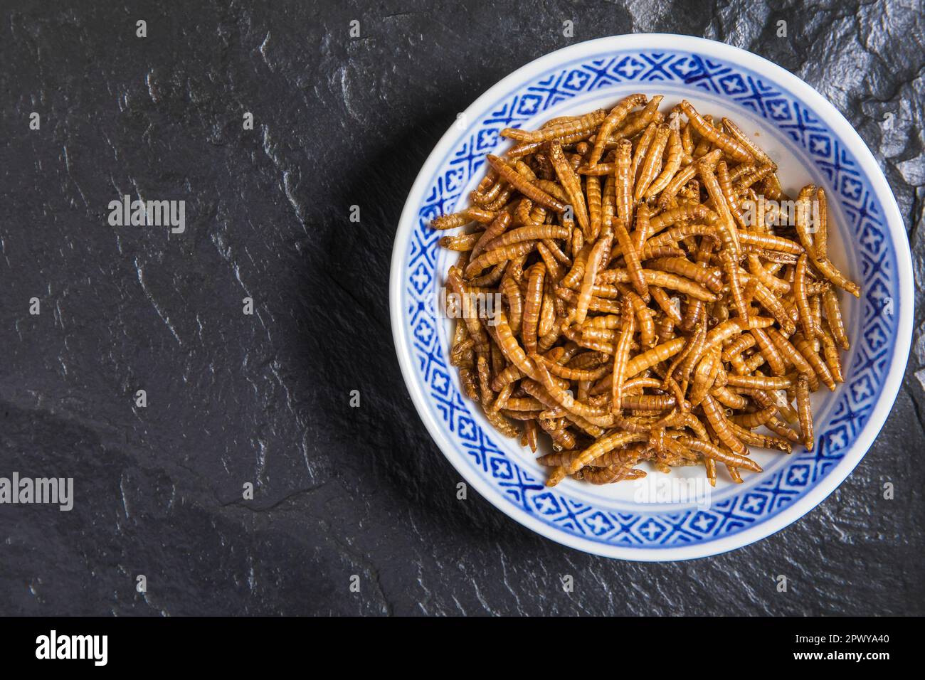 Farina di verme con peperoncino. Vermi salati fritti. Worm al forno. Alimentazione sana. Foto Stock