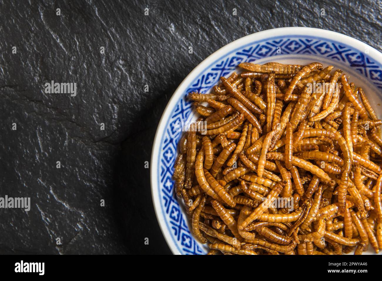 Farina di verme con peperoncino. Vermi salati fritti. Worm al forno. Alimentazione sana. Foto Stock