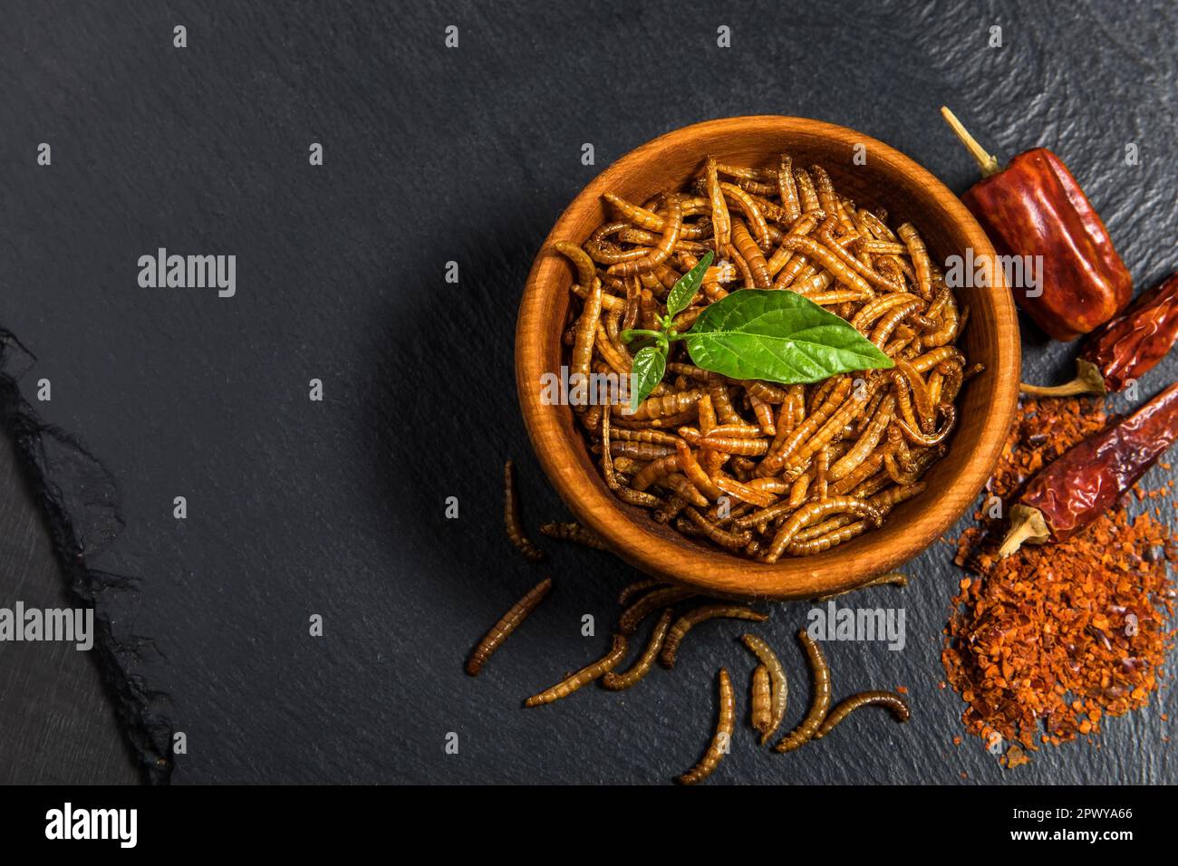 Farina di verme con peperoncino. Vermi salati fritti. Worm al forno. Alimentazione sana. Foto Stock