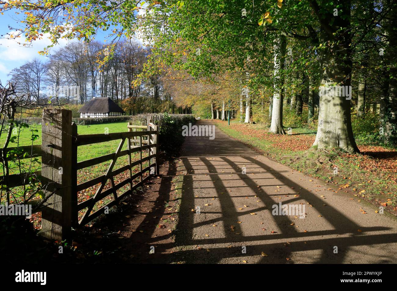 Shadow pattern e Abernodwydd Farm, St Fagans Museum, Cardiff. Preso il 2023 Foto Stock
