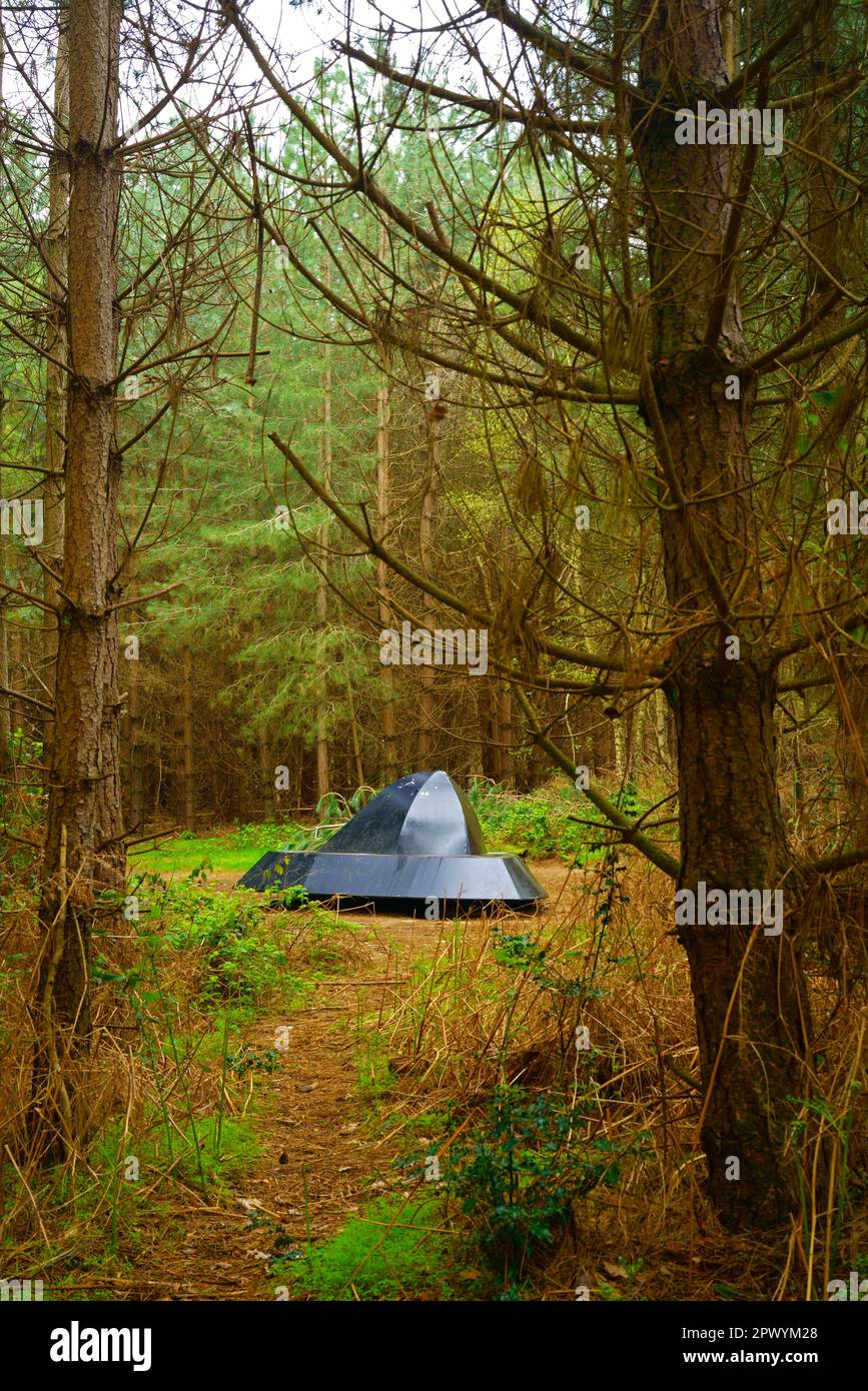 Il sito di sbarco ufo Rendlesham foresta Suffolk UK. Foto Stock