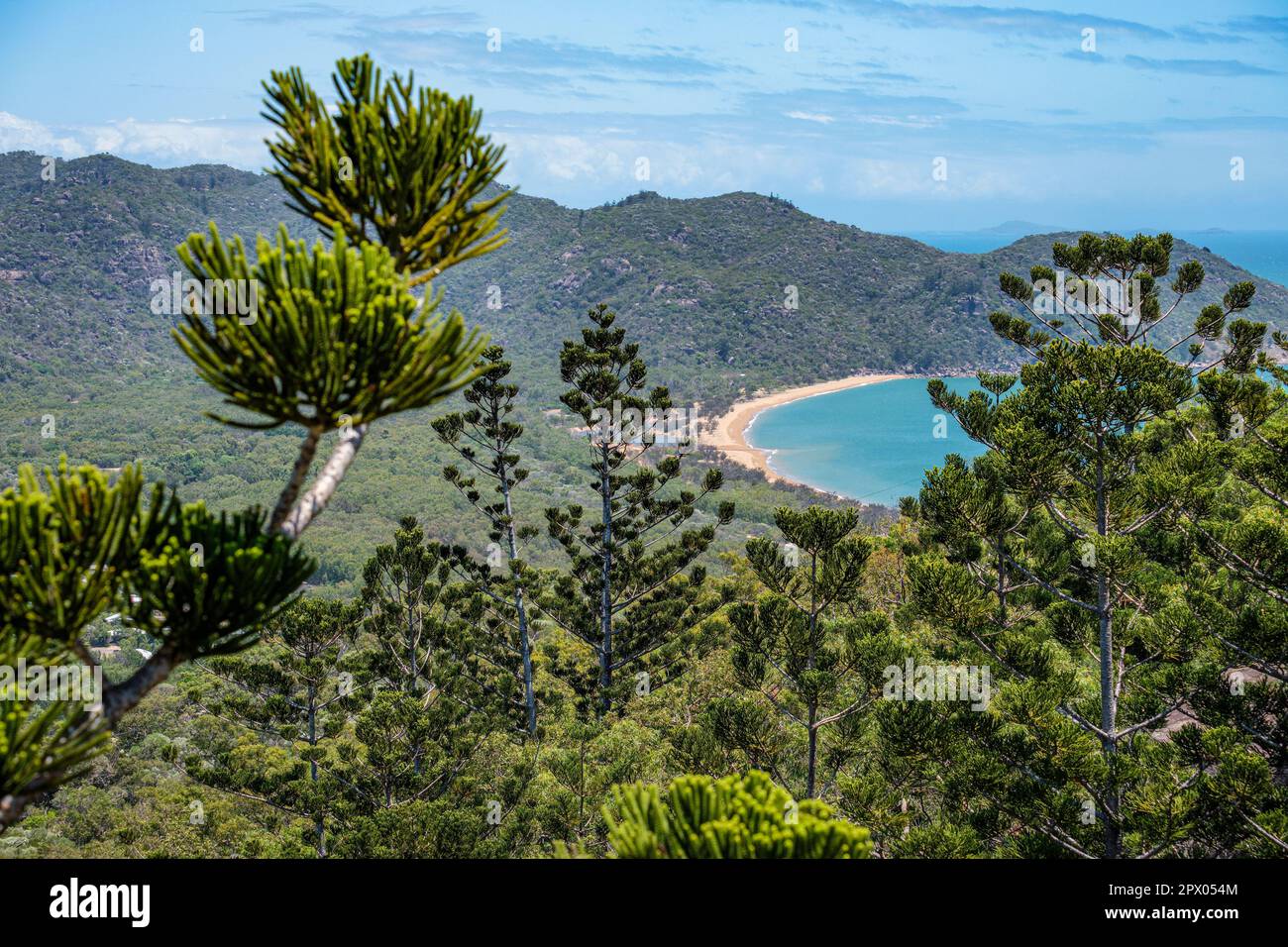 Hoop pini e vista verso la baia di Firenze, Magnetic Island, Townsville, Queensland Foto Stock