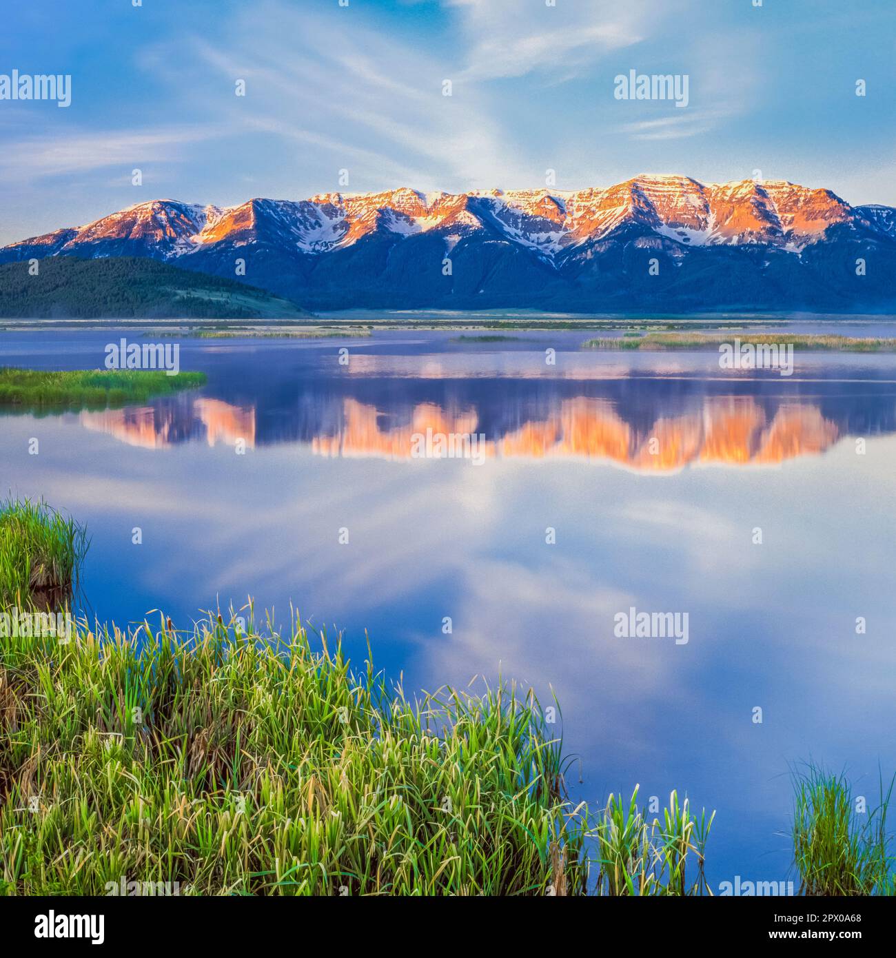 La mattina presto a fischione stagno in red rock Lakes National Wildlife Refuge al di sotto del centenario le montagne vicino al Lakeview, montana Foto Stock