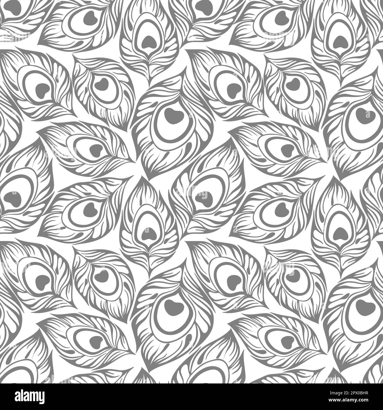 contorno senza cuciture di piume di pavone grigie su sfondo bianco, texture, design Foto Stock