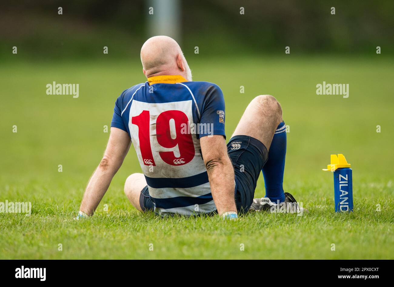 Inglese Mens amatoriale Rugby Union giocatori che giocano in una partita di  campionato Foto stock - Alamy