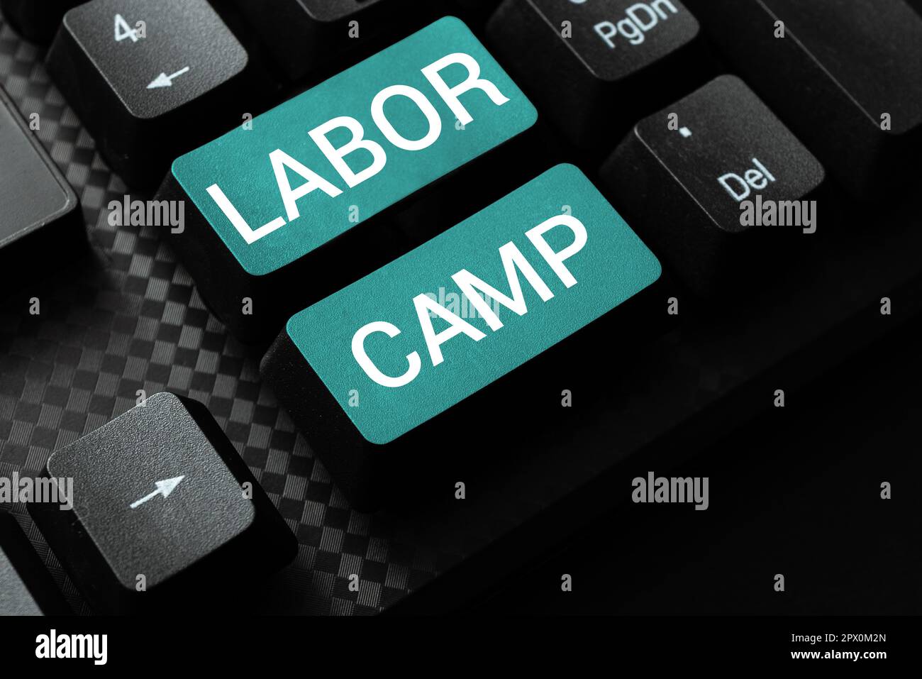 Scrittura che mostra testo Labor Camp, Business vetrina di una colonia penale in cui il lavoro forzato è eseguito Foto Stock