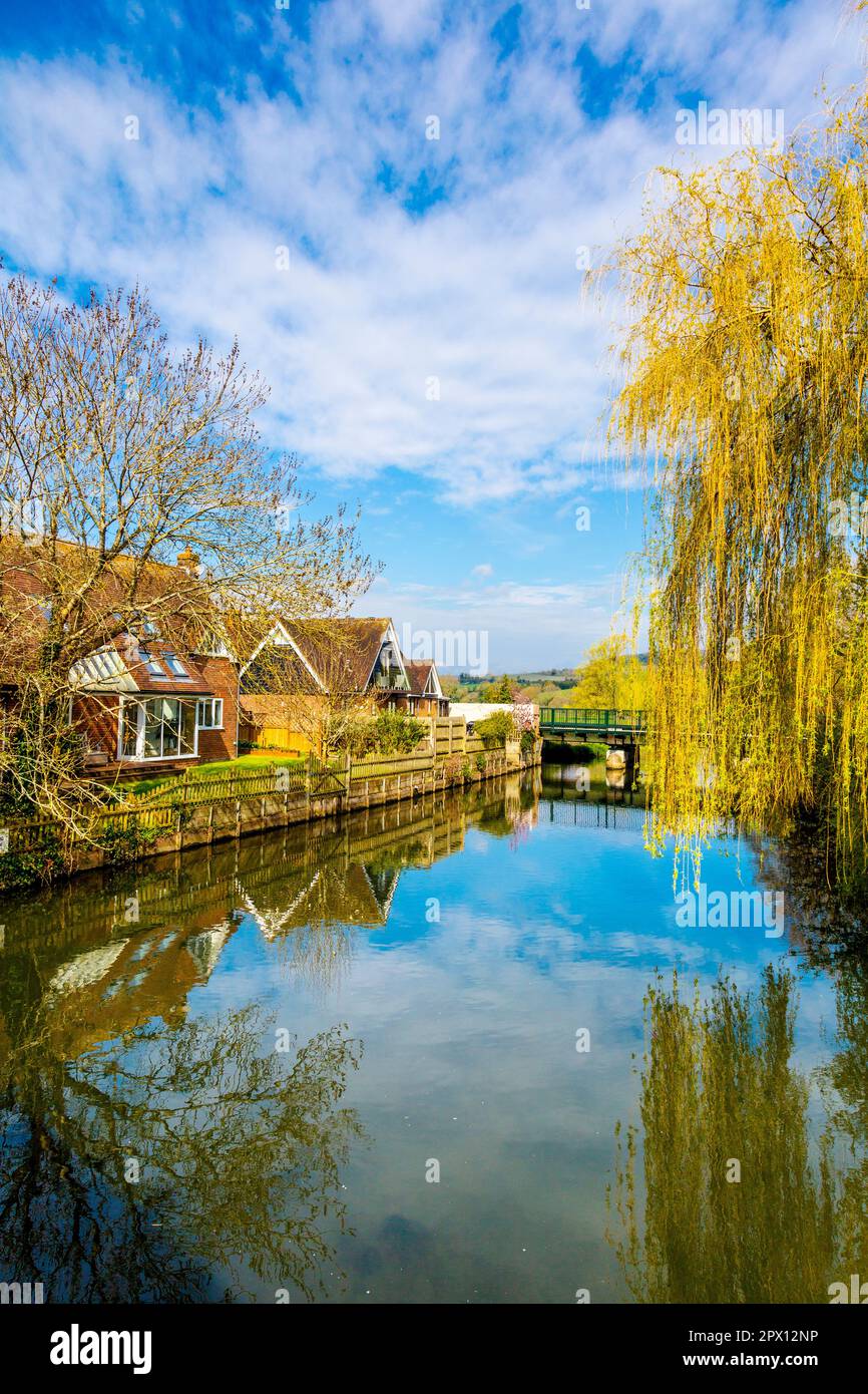 Il fiume Great Stour che attraversa il villaggio di Chartham, Kent, Inghilterra, Regno Unito Foto Stock