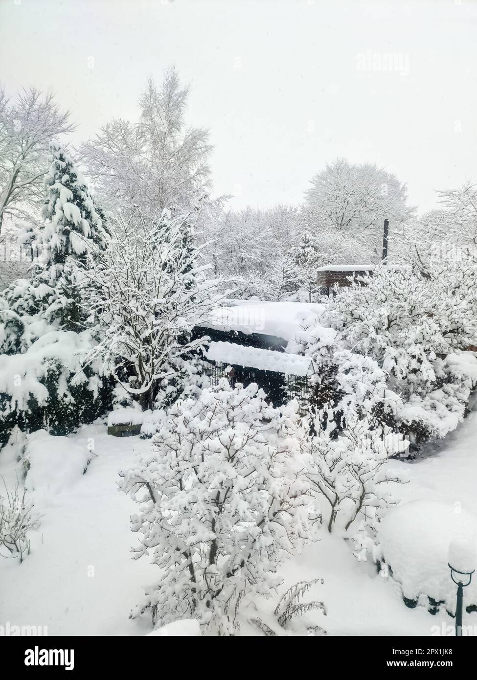 Bellissimi scatti di alberi dopo una forte nevicata in condizioni di sole Foto Stock