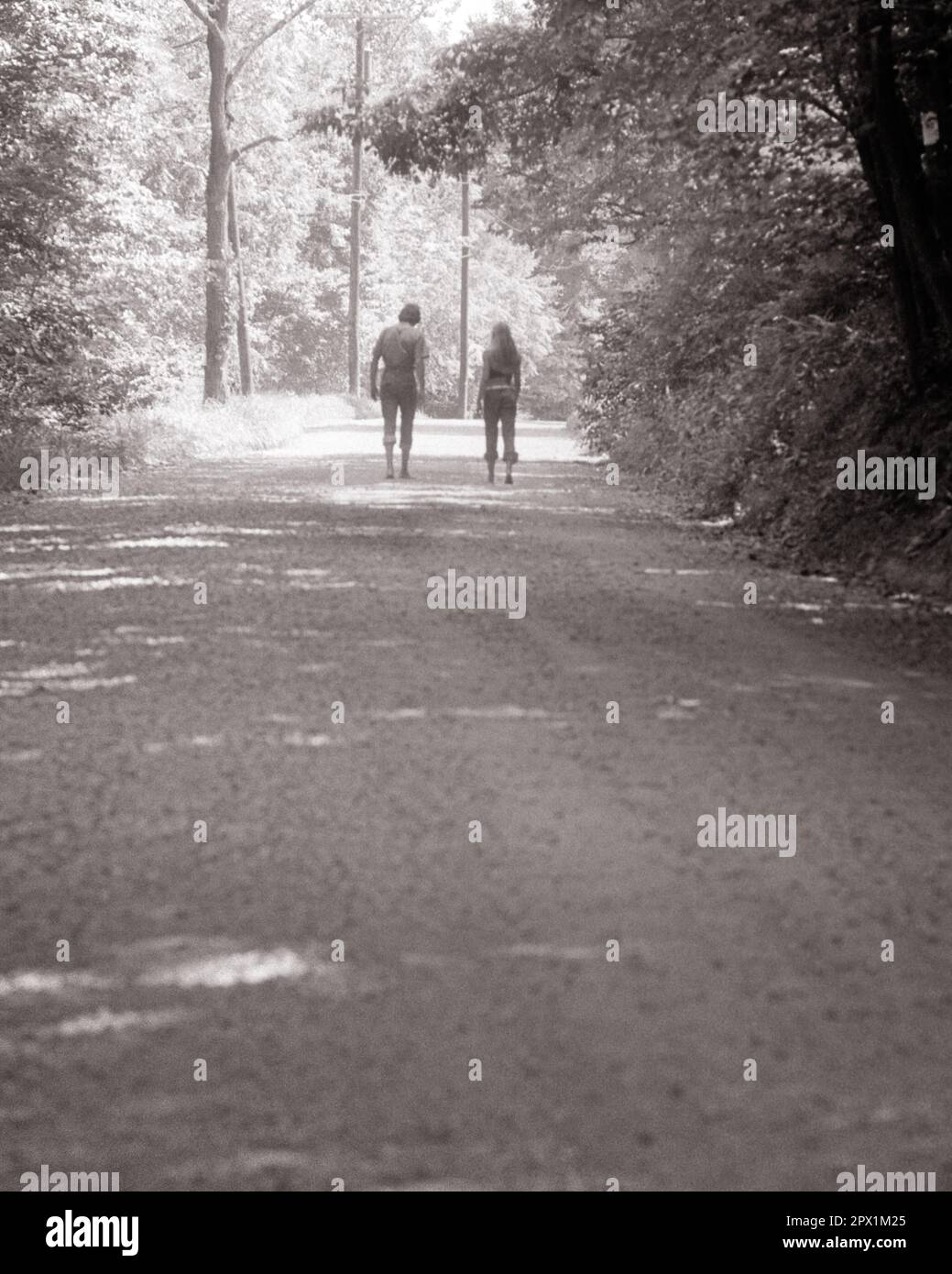 1970S BACK VIEW ANONYMOUS SILETED UOMO E DONNA CHE CAMMINANO LUNGO UNA CORSIA DI CAMPAGNA OMBREGGIATA - S19210 HAR001 HARS AMICIZIA FULL-LENGTH SIGNORE PERSONE ISPIRAZIONE SCENOGRAFICA MASCHI SERENITÀ SILHOUETTES SPIRITUALITÀ B&W CORSIA DELINEARE SOGNI ESTATE OMBRA AVVENTURA TEMPO LIBERO SILHOUETTED E DIREZIONE RICREATIVA RELAZIONI AMICHEVOLI ANONIMO SOFT FOCUS RELAX STAGIONE TOGETHERNESS GIOVANE UOMO ADULTO GIOVANE DONNA BIANCO E NERO HAR001 VECCHIO STILE Foto Stock