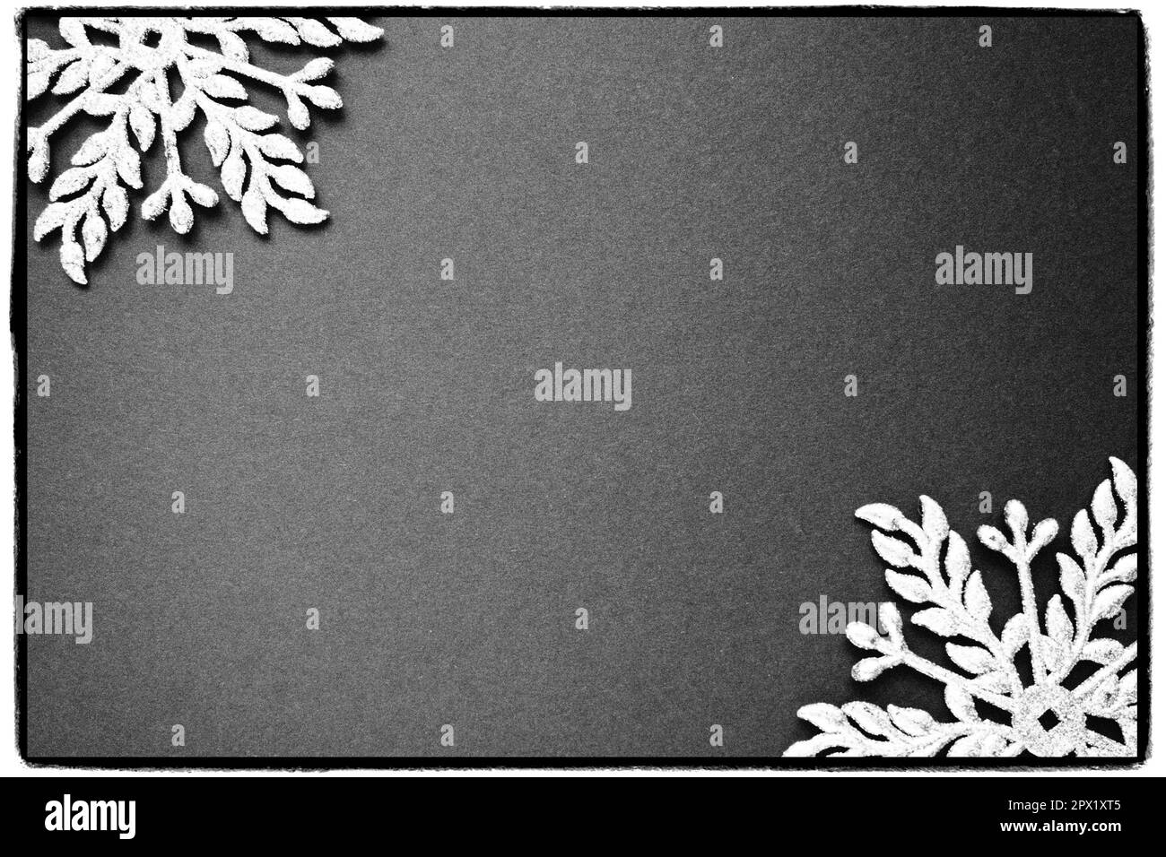 Sfondo di Natale con fiocchi di neve. Su uno sfondo bianco e nero sono disposti due fiocchi di neve bianco-argento con scintille. Felice anno nuovo. Buon CH Foto Stock