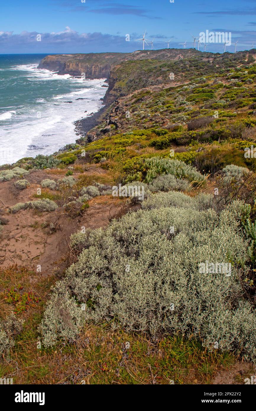 Capo Bridgewater Foto Stock