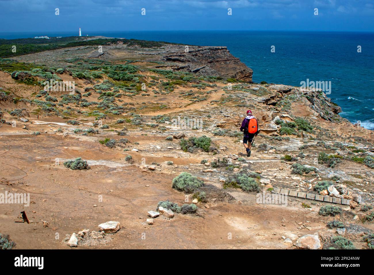 Escursionista sul sentiero per Cape Nelson, parte della Great South West Walk Foto Stock